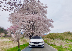VOLVO S60 D4 Dynamic Edition : With cherr blossoms 2025 05