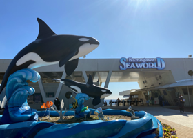 房総半島へ車中泊旅行 09